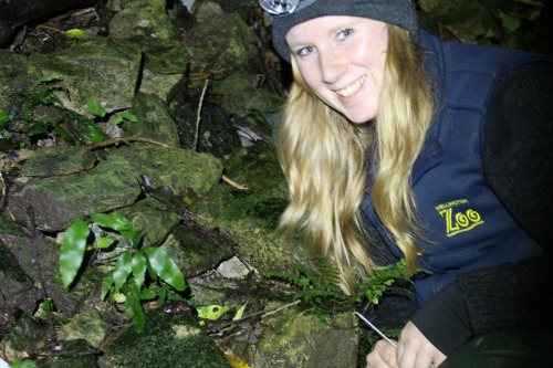 Kayla with a tiny Maud Island Frog