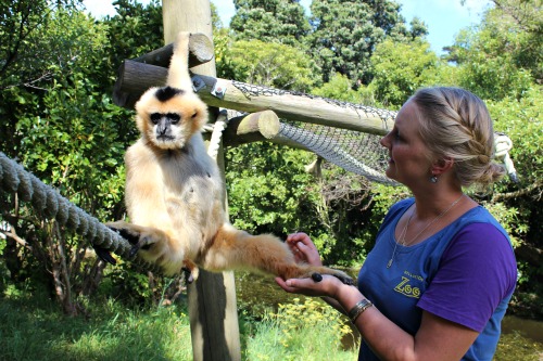 Robyn and Amanda at the Zoo 