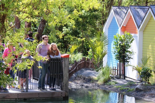 Visitors checking out Penguin Point