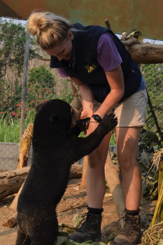 Amy with Mary the Sun Bear