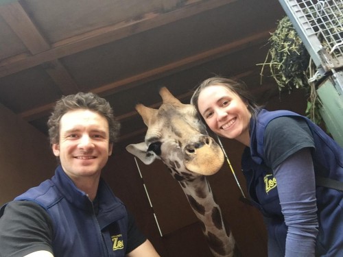 Herbivore Team Leader Bobby with Sunny the giraffe and Veterinarian Emily 