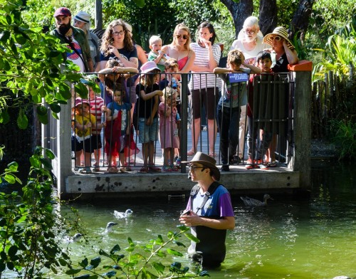 The Zoo put on special animal talks for visitors, including a penguin talk 