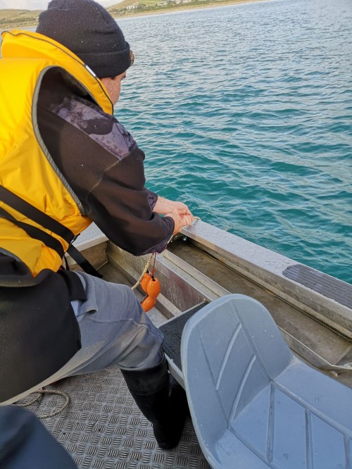 Max retrieving the T-Pod from Porpoise Bay