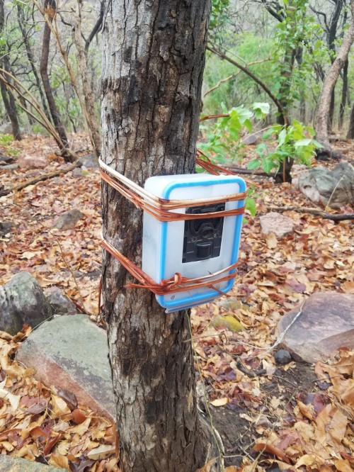 Camera trap in the field