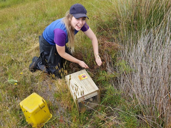 Holly resetting and baiting a trap